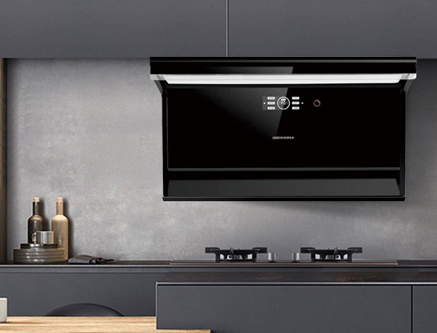 CXW-200-8201馭風近吸，凈顯風范